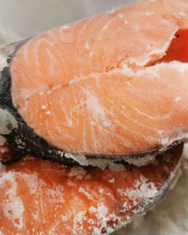 Fresh Frozen Fish