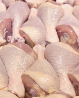 FRESH FROZEN CHICKEN