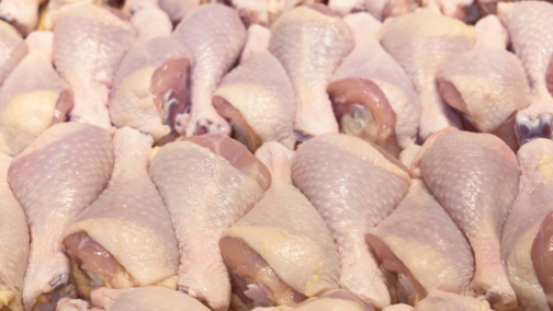 FRESH FROZEN CHICKEN - Image 2